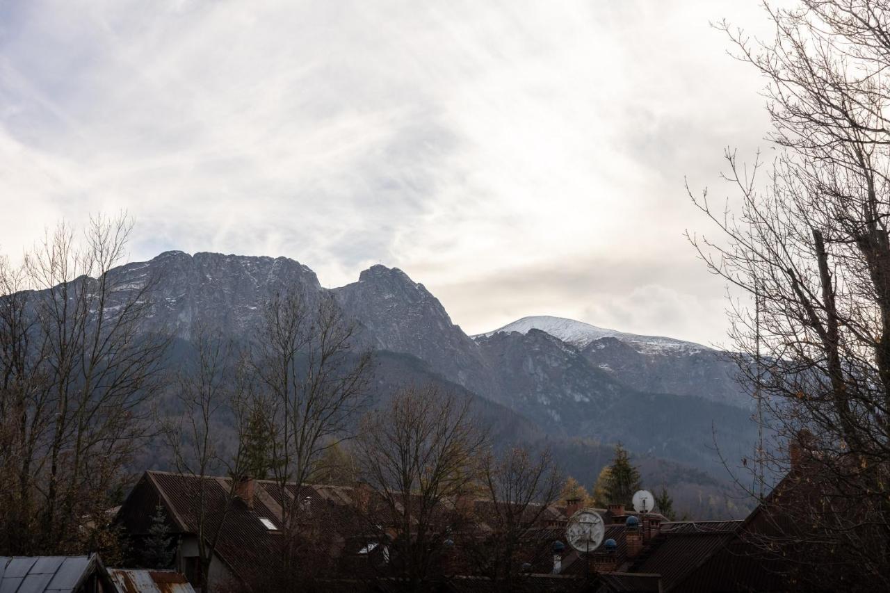 Villa Monte Zakopane Eksteriør bilde