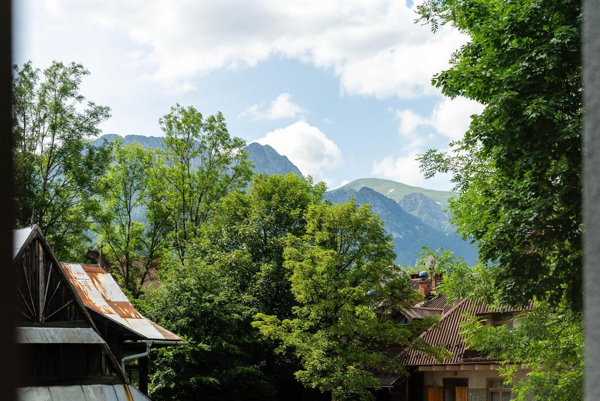 Villa Monte Zakopane Eksteriør bilde